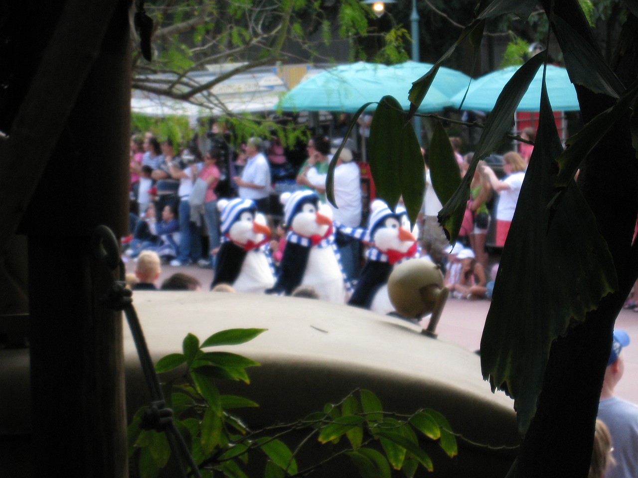 Vacation 2007-12 - Beaches Disney Hotels 0871.jpg - On the 2007-08 Florida vacation we visited beaches from Fort Myers to Sanibel Island sampling local food along the way. Green water and white sugar beaches! Arriving at Disney World we visited several of the theme resorts.